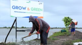 BRI melaksanakan beberapa program lingkungan, termasuk program Zero Waste to Landfill dan program penghijauan BRI Menanam & BRI Menanam Grow & Green. (Dok. Bank BRI)