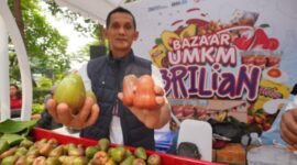 Siswadi dengan jambu air unggulannya yang berhasil 'dipopulerkan' oleh petani di Desa Menawan, Kecamatan Gebok, Kabupaten Kudus, Jawa Tengah. (Dok. BRI)