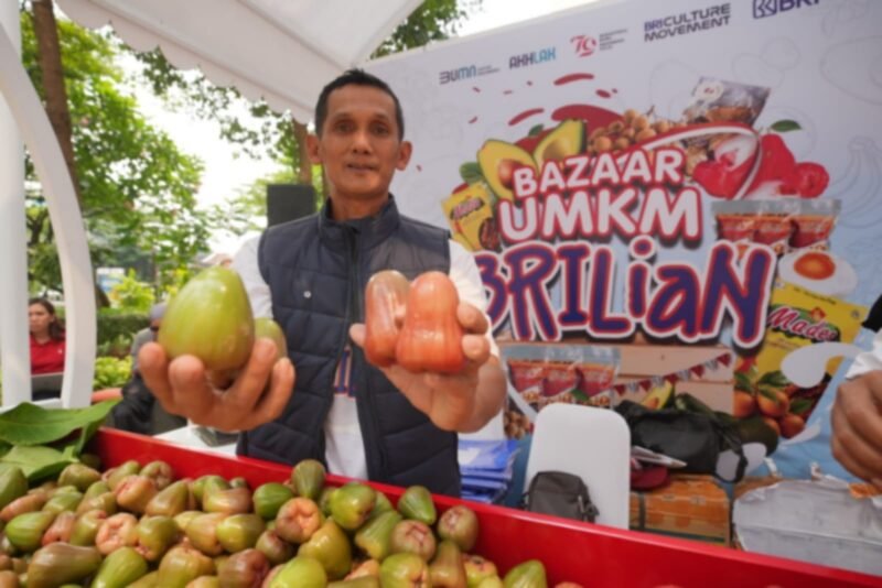 Siswadi dengan jambu air unggulannya yang berhasil 'dipopulerkan' oleh petani di Desa Menawan, Kecamatan Gebok, Kabupaten Kudus, Jawa Tengah. (Dok. BRI)