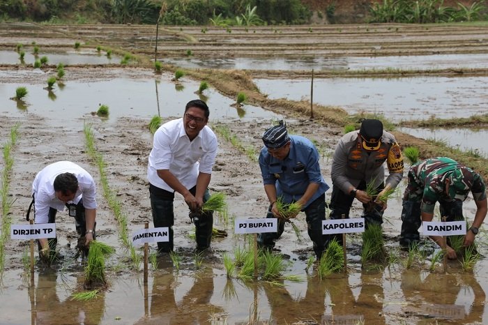 Wakil Menteri Pertanian (Wamentan) Sudaryono meninjau percepatan tanam di Kabupaten Jepara, Jawa Tengah. (Dok. Kementan)