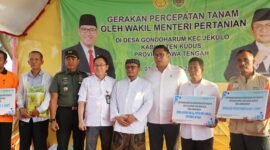 Wakil Menteri Pertanian (Wamentan) Sudaryono terjun ke sawah lakukan percepatan tanam. (Dok. Kementan)
