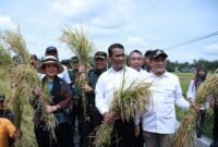 Ketua Komisi IV DPR RI, Titiek Soeharto saat meninjau jalanya panen raya bersama Menteri Pertanian Andi Amran Sulaiman di Kabupaten Bantul. (Dok. Kementerian Pertanian)

