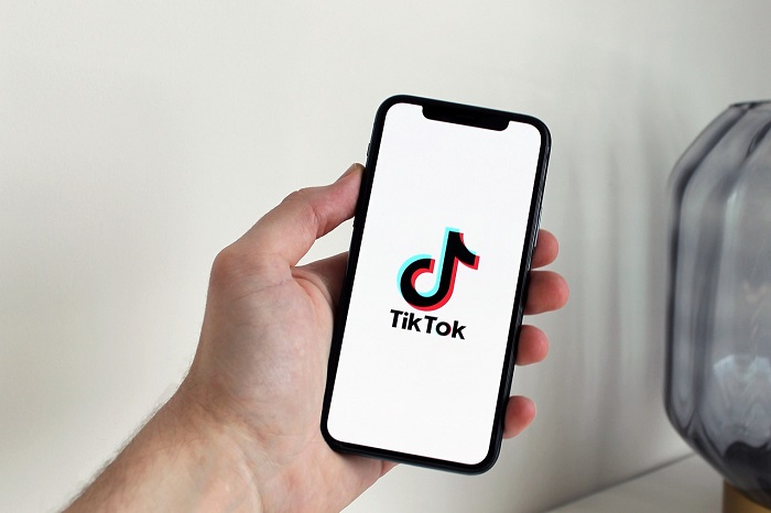 Pemisahan aset TikTok di Amerika Serikat. (Pixabay.com/antonbe)